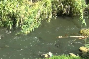 ஆயிரக்கணக்கான மக்கள் பயன்படுத்தும் ஆற்று நீரை அசுத்தப்படுத்தும் நிறுவனம்: சட்ட நடவடிக்கை எடுக்கப்படுமா... !