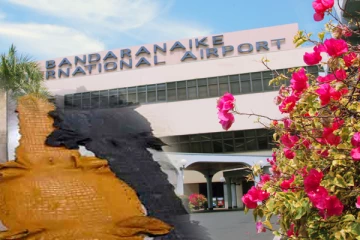 விமான நிலையத்தில் அதிகாரிகளுக்கு ஷாக் கொடுத்த வர்த்தகர்; துணி என பார்த்தால்....