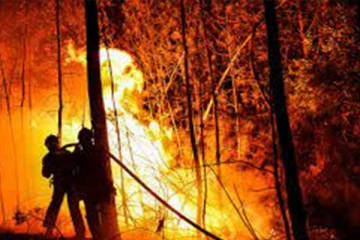 பிரான்சில் 1500 ஏக்கர் நிலப்பரப்பில் பற்றியெரியும் தீ: அணைக்கப் போராடும் 900 தீயணைப்பு வீரர்கள்