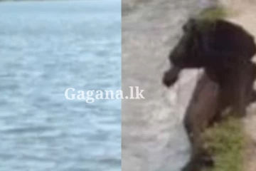 නොහිතපු අවදානමක් මතු වෙයි.. වාහාම, 100කට වැඩි පිරිසක් ආරක්ෂිත ස්ථාන කරා..