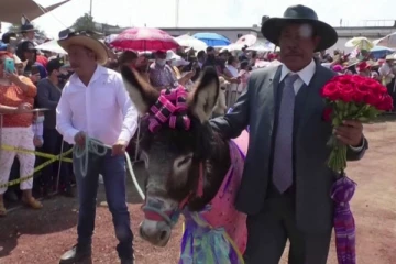 மே தினத்தன்று கழுதைகளுக்கு மரியாதை செலுத்திய மக்கள்!