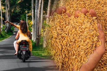 ஒரு மூடை நெல் கொடுத்து  பெட்ரோல் வாங்கி பிறந்த நாளுக்கு சென்ற யாழ் பல்கலைக்கழக மாணவி!