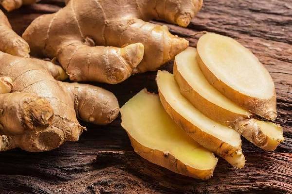 டெங்கு காய்ச்சலை தடுக்க இதை குடிங்க | Drink This To Prevent Dengue Fever
