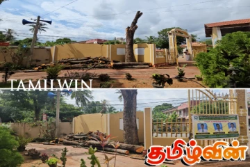 யாழில் பழமையான மரத்தை வெட்டுவதற்கு எதிராக மக்கள் கடும் எதிர்ப்பு