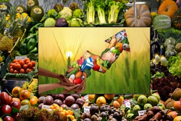 உலக உணவுப் பொருட்களின் விலை உயர்வு: வெளியான FAO அறிக்கை