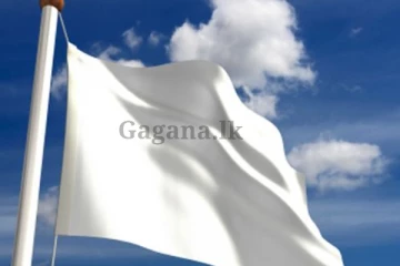 කලා ලොව.. සිනහවෙන්.. ප්‍රේක්ෂක ආදරය නොමදව රැඳී ඇය මෙලොව හැරදා යන්නම යයි.. (PHOTOS)