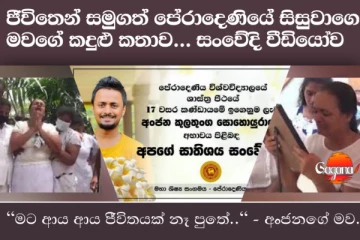 "මට ආය ආත්මයක් නෑ පුතේ.." ජීවිතයෙන් සමුගන්න හිතුනොත් මොහොතකට පෙර මේ අම්මගේ කදුළු කතාව අහන්න...සංවේදී වීඩියෝව (VIDEO)