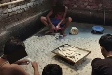 அதிர்ச்சி காட்சி....இதை பார்த்தால் சோயா சாப்பிடவே மாட்டீங்க!