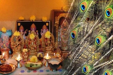 வாஸ்துபடி மயில் இறகுகளை வீட்டில் வைப்பதால் இத்தனை நன்மைகளா?