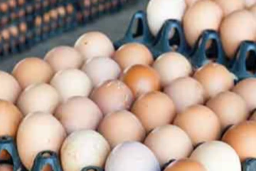 බිත්තර ගැන වාර්තාව හෙට..