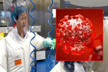 எதிர்காலத்தில் கொரோனாவை விட கொடிய வைரஸ் தாக்கும் - எச்சரிக்கும் சீன வைராலஜிஸ்ட்!