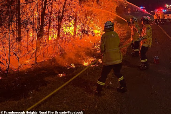 nsw south coast issued extreme fire danger nsw south coast issued extreme fire danger