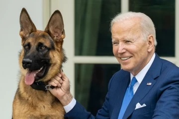 வெள்ளை மாளிகையில் 12 அதிகாரிகளை கடித்த ஜோ பைடனின் நாய்