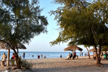 யாழ்ப்பாணம் கசூரினா கடற்கரையில் பாரிய தீ