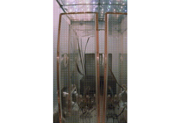 விண்வெளியில் முளைத்த அரிசி! வியக்க வைத்த விஞ்ஞானிகள் | Chinese Astronauts Grow Rice In Space