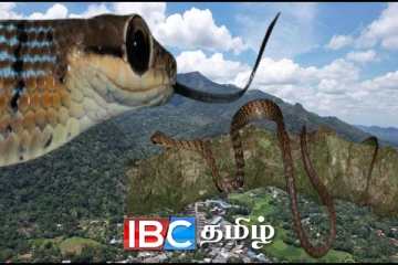 இலங்கையில் புதியவகை பாம்பு இனம் கண்டுபிடிப்பு