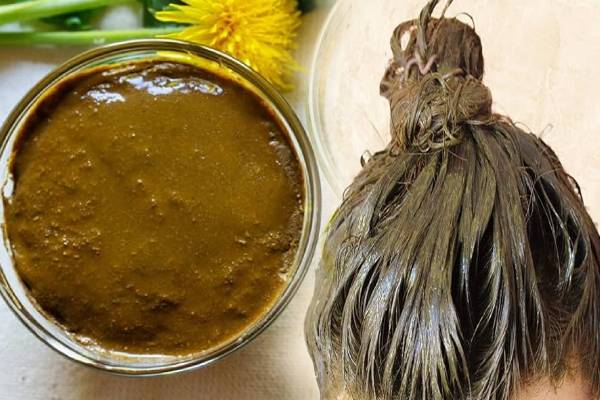 கட்டுக்கடங்காத கூந்தல் வளர்ச்சிக்கு உதவும் இயற்கை ஹேர்பேக்.., எப்படி தயாரிப்பது? | Homemade Hair Pack For Get Long Hair In Tamil
