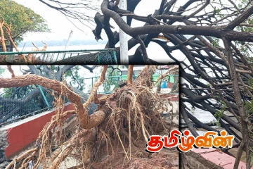 கிண்ணியா கடற்கரைப் பூங்காவில் கடலலையில் பாதிப்புக்குள்ளான மற்றுமோர் பகுதி