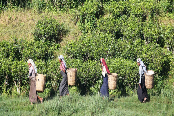 மோடயாக்கள் யார்...! | Overturned By The Human Rights Council