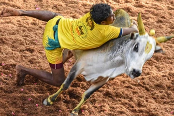 தொடங்கியது அவனியாபுரம் ஜல்லிக்கட்டு! நேரலை வீடியோ காட்சிகள்