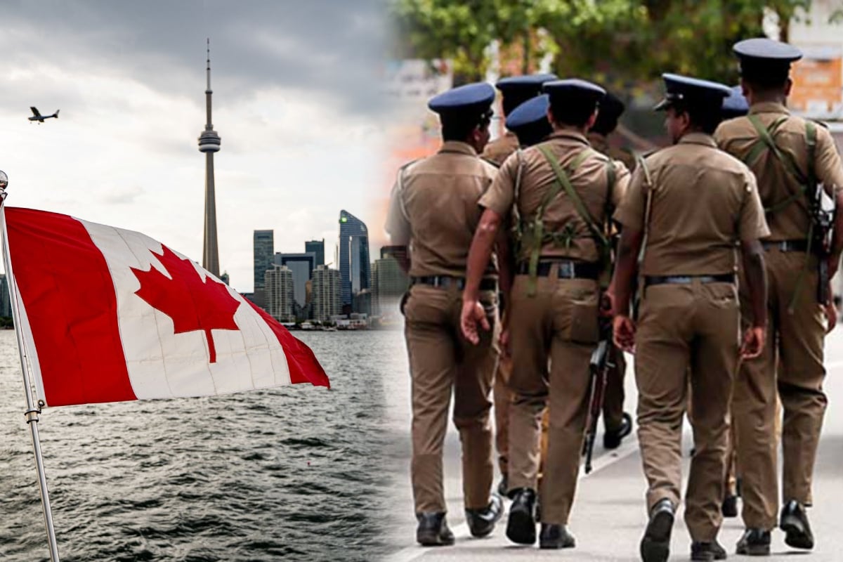 கனடாவில் வேலை பெற்றுத் தருவதாக பெண்ணிடம் பல கோடி ரூபா மோசடி செய்த நபர் | Canada Job Scam Man Arrested