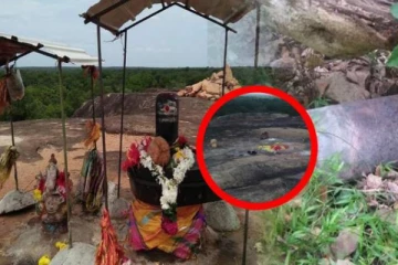 வெடுக்குநாறி விவகாரம்: அமைச்சரவையில் உறுதியளித்த ஜனாதிபதி ரணில்