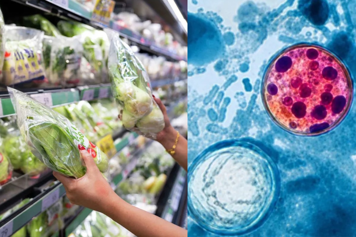 அமெரிக்காவில் வேகமாக பரவும் Cyclosporiasis: 31 மாகாணங்கள் பாதிப்பு | Cyclosporiasis Spread Across 31 Usa States அமெரிக்காவில் வேகமாக பரவும் Cyclosporiasis: 31 மாகாணங்கள் பாதிப்பு | Cyclosporiasis Spread Across 31 Usa States