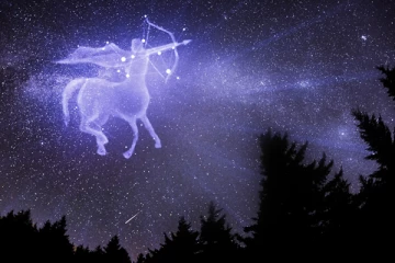 " ධනු " ලග්නය අතුරුදන් . අනාගතයට ධනු නැති කේන්දරයක්.