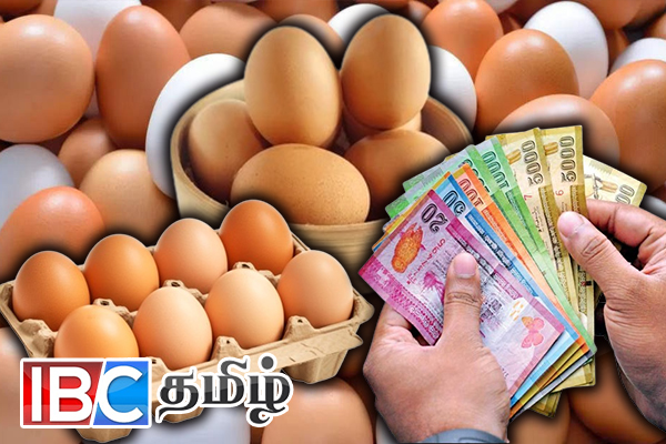 சடுதியாக வீழ்ச்சியடைந்த முட்டை விலை | Good News Egg Prices Continue To Drop