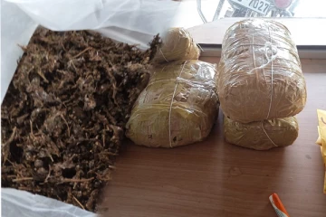 விடுதி ஒன்றில் சூட்சுமமான முறையில் மறைத்து வைக்கப்பட்டிருந்த கேரளா கஞ்சா மீட்பு (PHOTOS)