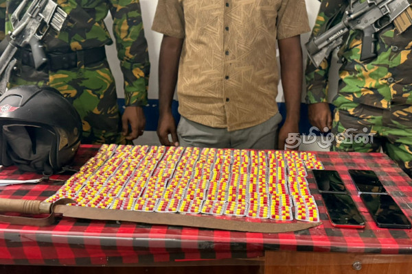 யாழில் 4 இளைஞர்கள் கைது! | 4 Youths Arrested In Jaffna