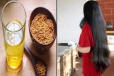 முடி நீளமாக, அடர்த்தியாக வளரணுமா? அப்போ வெந்தயத்தை வாரம் ஒருமுறை இப்படி Use பண்ணுங்க