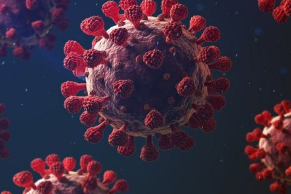 சீனாவில் பரவும் கொரோனாவுக்கு இதுதான் காரணமா! | Is This The Reason Corona Virus Spreading In China