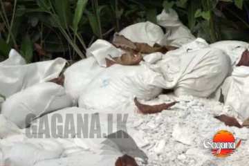 මිද්දෙණිය, තංගල්ල, කඳානෙන් ඇල්ලු අයිස් නිෂ්පාදන රසායනික ද්රව්ය ගැන වාර්තාව දින දෙකකින්