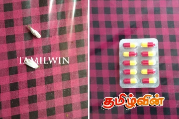 யாழ்ப்பாணத்தில் போதை மாத்திரைகளுடன் இருவர் கைது