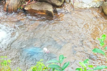 கால்வாயில் இருந்து மீட்கப்பட்ட பச்சிளம் குழந்தையின் சடலம்! தாயை தேடும் பொலிஸார்