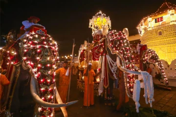 මහනුවර ඇසළ පෙරහැරට තොරතුරු කළමනාකරණ පද්ධතියක්