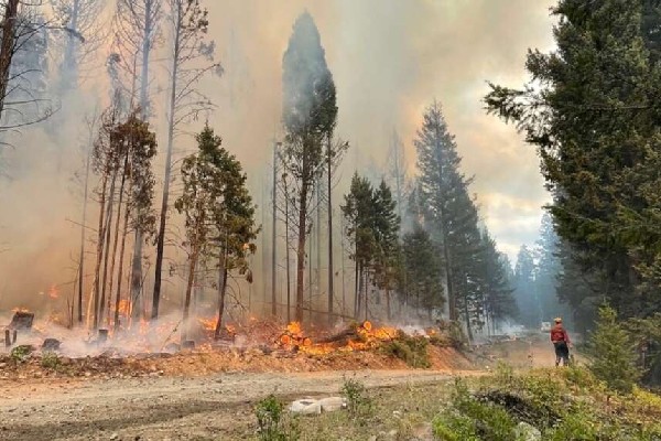 பிரிட்டிஷ் கொலம்பியாவில் கோர விபத்து | 4 Wildfire Fighters Killed In Collision