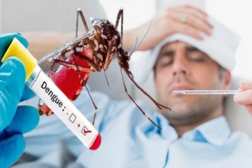 Dengue: உயிருக்கு ஆபத்தான டெங்கு.., தொற்று ஏற்படாமல் தடுப்பது எப்படி?