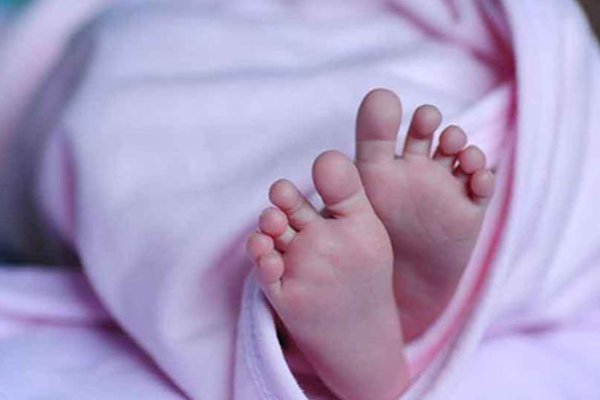 திடீர் சுகயீனம்! பச்சிளம் குழந்தை உயிரிழப்பு - யாழில் நிகழ்ந்த துயரம் - ஐபிசி தமிழ்