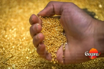 රත්තරන් ගන්න ඉන්නවනම් අනිවාර්යයෙන් බලන්න