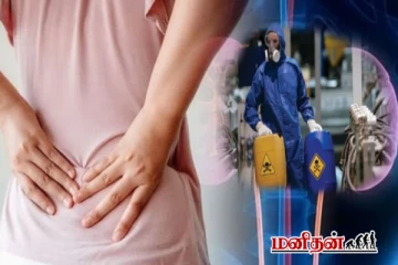 சிறுநீரகத்தை சேதப்படுத்தும் தெழில்கள் - மரணத்திற்கு வழிவகுக்குமாம்