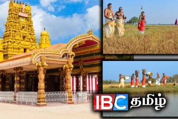 நல்லூர் கந்தசுவாமி ஆலயத்தில் நெற்புதிர் அறுவடை நிகழ்வு!