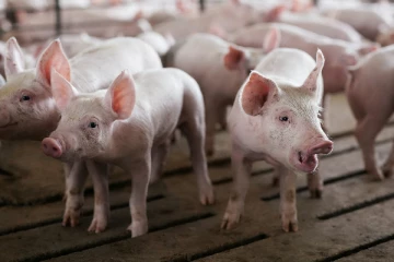 கொரோனா முடிவதற்குள் சீனாவின் அடுத்த நடவடிக்கை; எச்சரிக்கும் நிபுணர்கள்