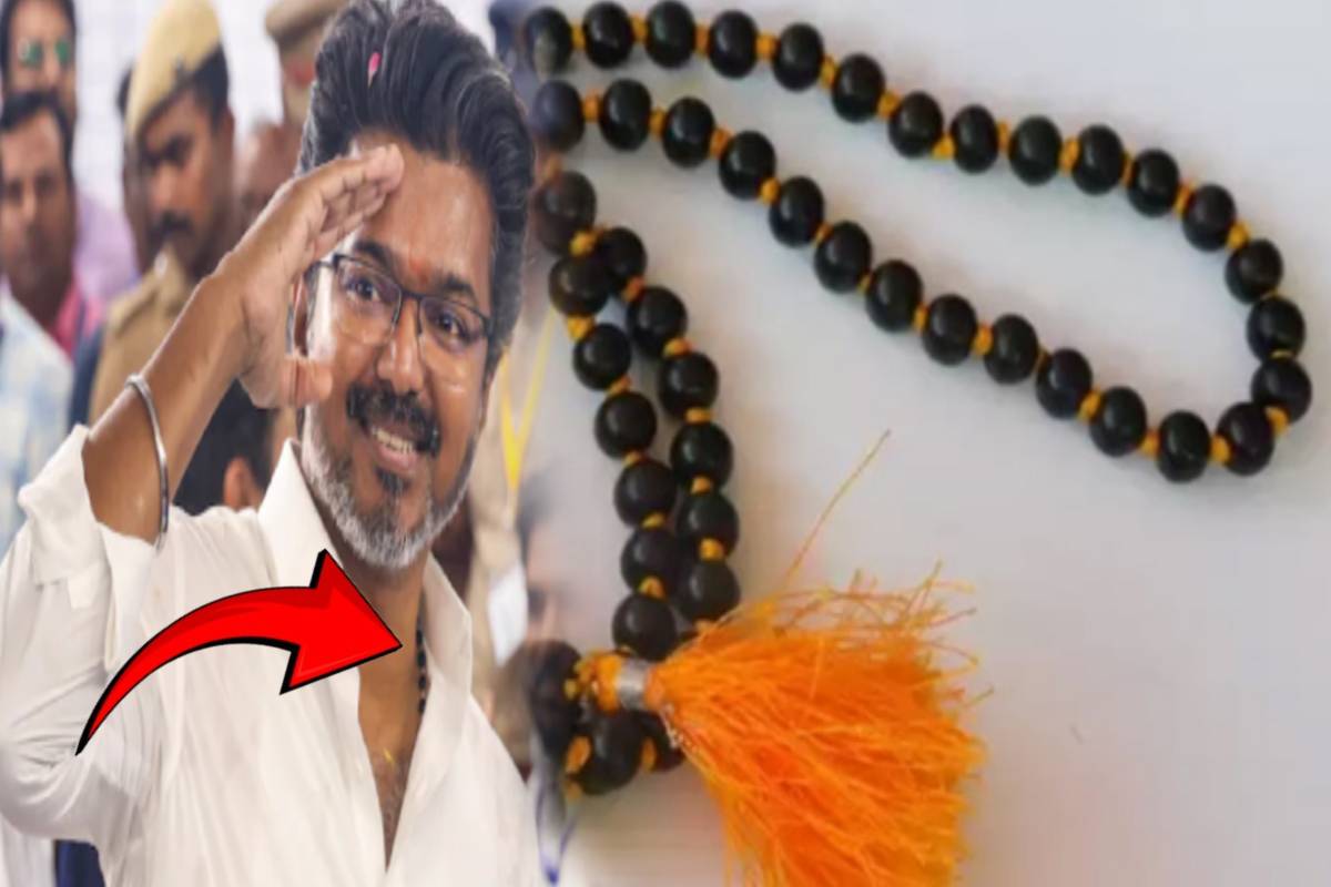 விஜய் சங்கீதாவை பிரிய இது தான் காரணமா? ஜோதிட விளக்கம் | Reason Why Vijay Broke Up With Sangeetha Astrology