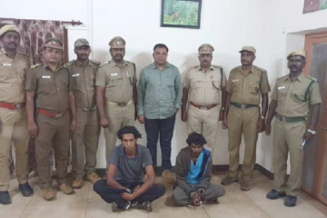 இறைச்சியில் விஷம் வைத்து புலியைக் கொன்ற இருவரைப் போலீசார் கைது செய்துள்ளனர்