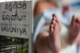 வவுனியாவில் 5 மாதக் குழந்தைக்கு நிகழ்ந்த அவலம்