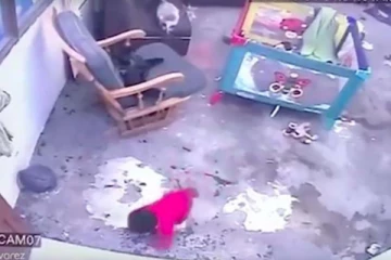 படியில் விழப்போன குழந்தை! நொடியில் காப்பாற்றிய பூனை