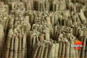 මෙන්න මේ අයගේ රැකියා අනතුරේ