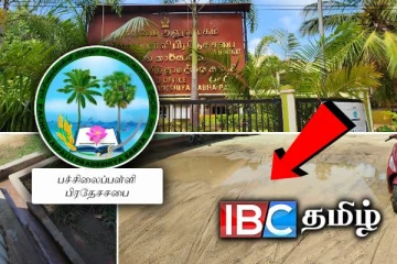 பச்சிலைப்பள்ளி பிரதேச சபையின் அசமந்த போக்கு : வீதிக்கு வந்த வியாபாரிகள்!